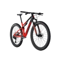 2024 BMC Fourstroke 01 TWO - Mountain Bike 2024 BMC Fourstroke 01 TWO - Mountain Bike