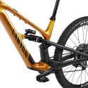 2024 Canyon Spectral CF 8 CLLCTV - Mountain Bike 2024 Canyon Spectral CF 8 CLLCTV - Mountain Bike