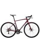 2024 Specialized Allez - Road Bike
