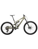 2024 Specialized Stumpjumper EVO Expert - Mountain Bike