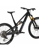 2025 Canyon Spectral:ONfly CF LTD - Mountain Bike