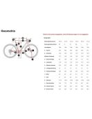2025 Trek CHECKPOINT SL 6 AXS Gen 3 Carbon - Gravel Bike