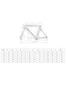2025 Bianchi OLTRE COMP 105 Di2 Carbon - Road Bike