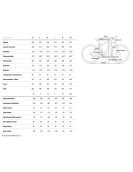 2025 Cube Reaction Hybrid Performance 625 - Electric Mountain Bike
