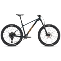 2025 Giant Fathom - Mountain Bike