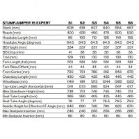 2025 Specialized Stumpjumper 15 EXPERT Carbon - Mountain Bike 2025 Specialized Stumpjumper 15 EXPERT Carbon - Mountain Bike