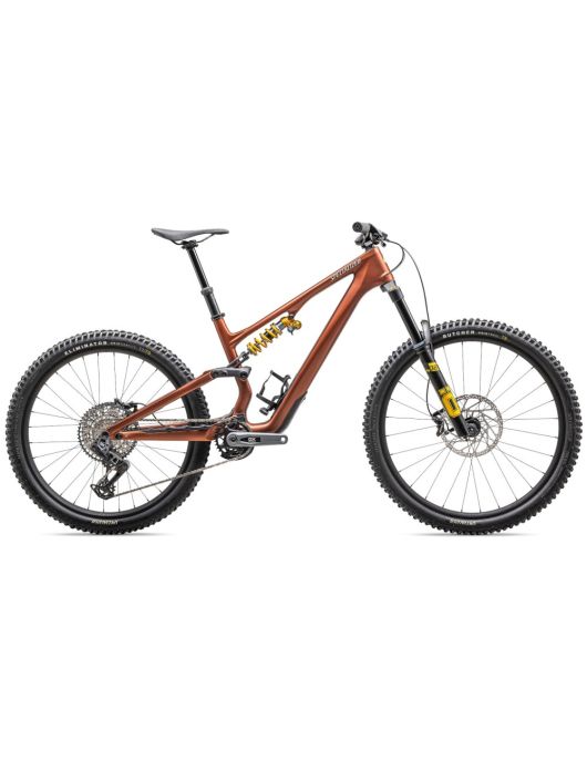 2025  Specialized Stumpjumper 15 Öhlins Coil - Carbon - Mountain Bike