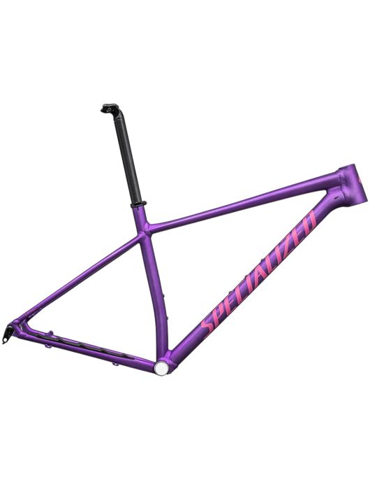 2025 Specialized Chisel Hardtail Frameset